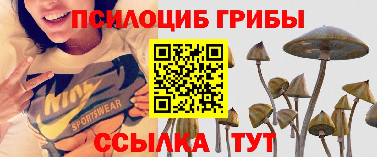 Псилоцибиновые грибы Psilocybine cubensis  Вход с VPN  Шебекино 