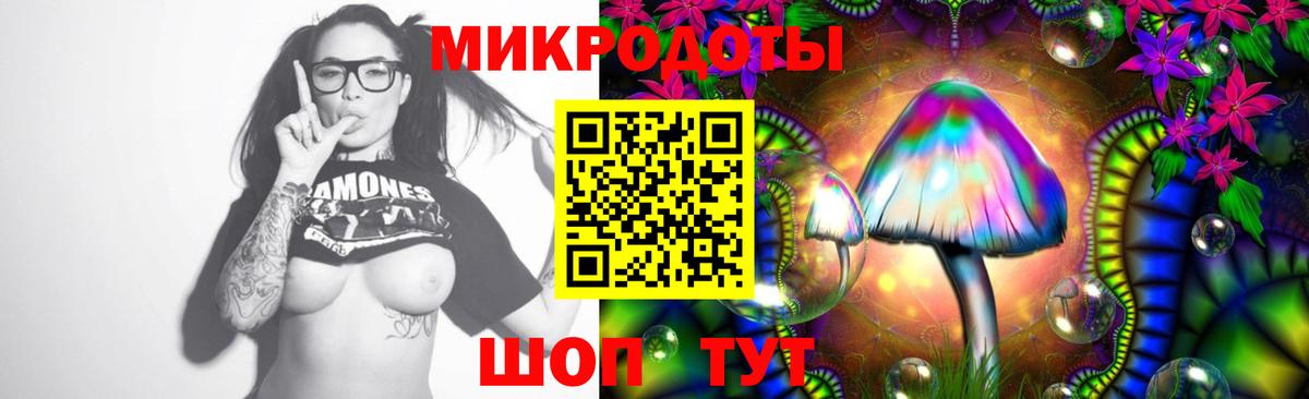 Галлюциногенные грибы Psilocybine cubensis Шебекино